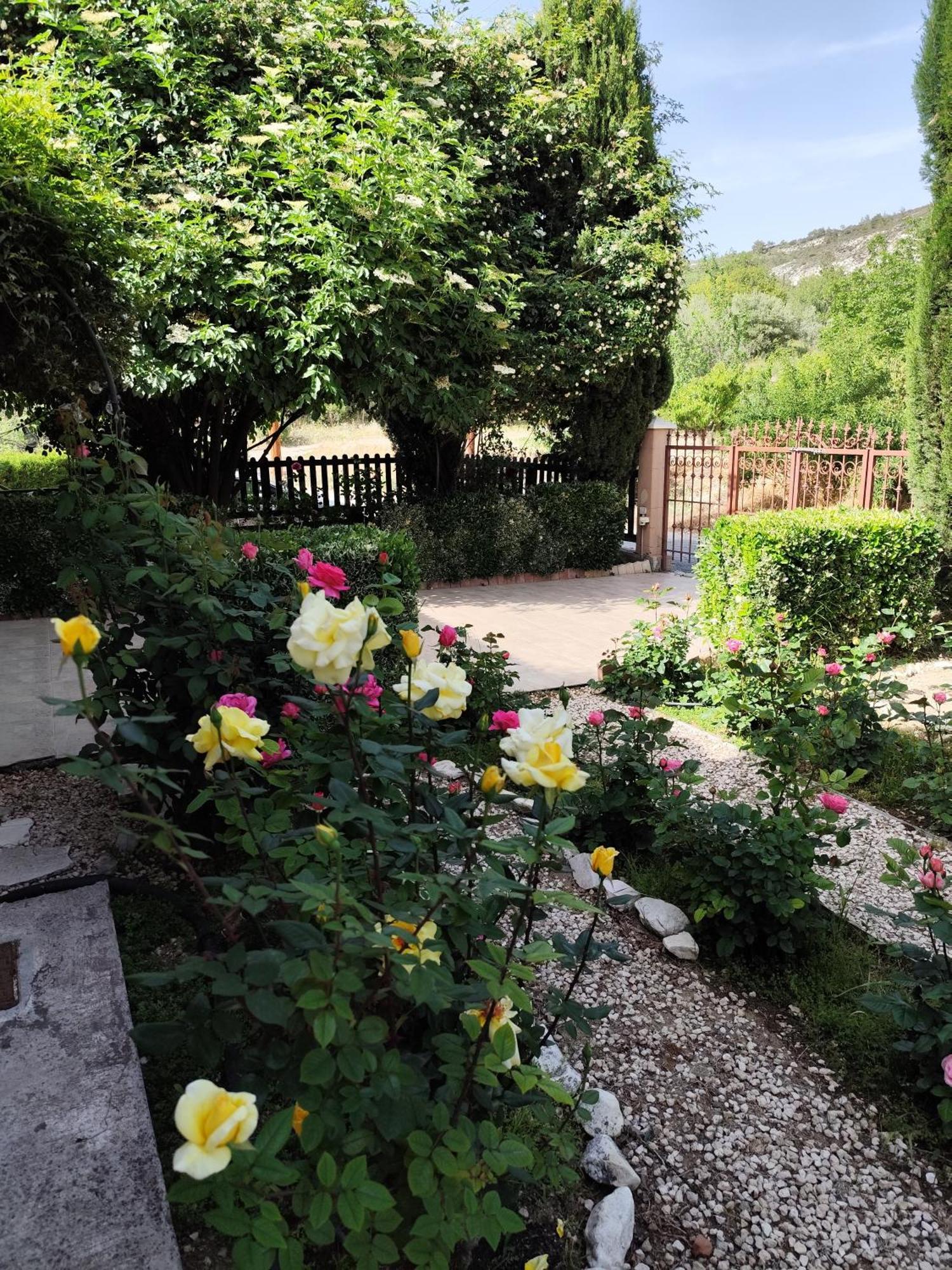 Roses Villa Trimiklini Extérieur photo