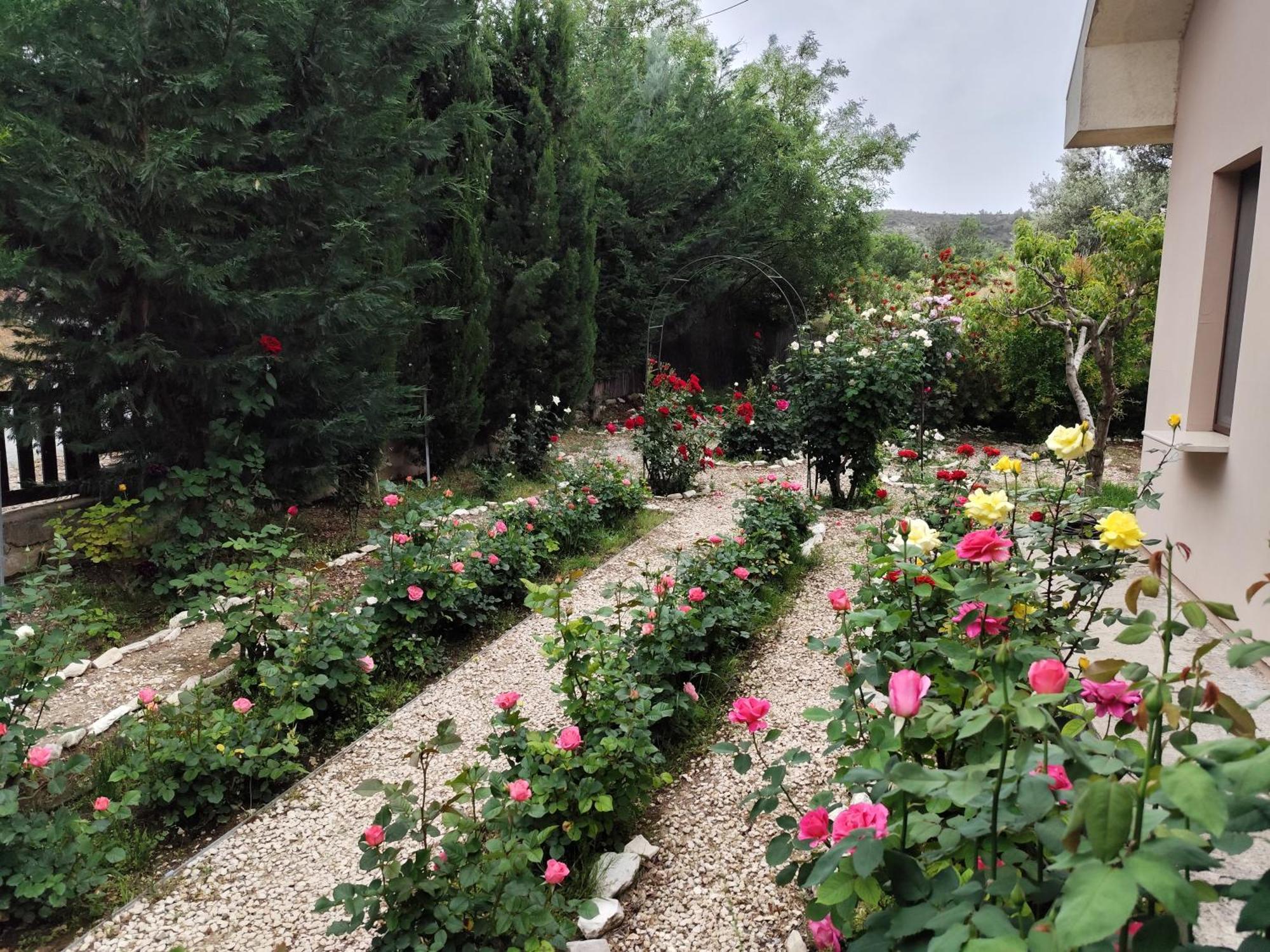 Roses Villa Trimiklini Extérieur photo